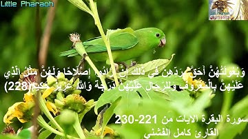سورة البقرة الايات من 221- 230 القارئ كامل الفشني