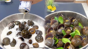 CÁCH LÀM  SẠCH ỐC BƯƠU NHANH BẰNG BIA