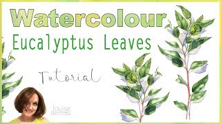 watercolor leaves painting louise paintings eucalyptus watercolors demasi watercolour masi paint painted sunflower rose tutorial butterfly