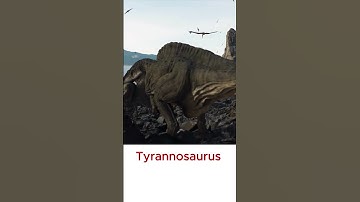 Unveiling the Mighty Tyrannosaurus Rex: Ancient Apex Predator #shorts #animaldocumentary