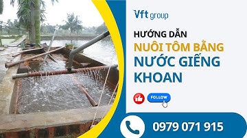 Hướng dẫn cách nuôi tôm bằng nước giếng khoan