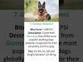 #shorts #shortsfeed #short #dog #dogs #zoo #wildlife #animalsounds #animalshorts #indian #indonesia