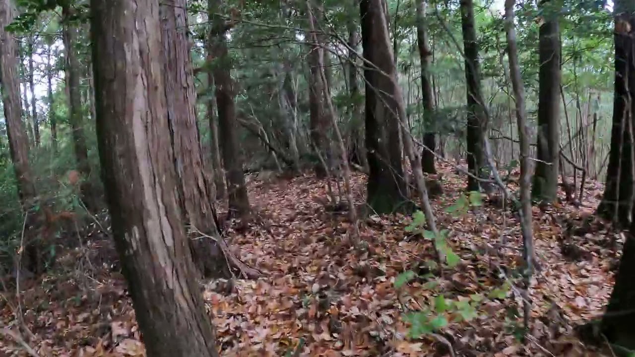 梁瀬山　頂上の風景