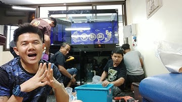 ฺBew Cool - Overflow Full Services ตู้ปลาทอง Set 2