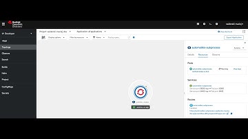 Automatiko :: Transaction Recovery and Fault Tolerance