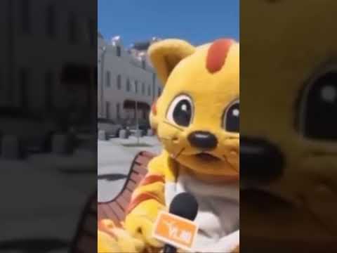 «Я никому не верю. Ничего не жду». #мемы #вирус #viral