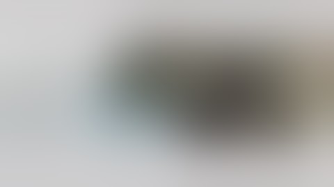 Cladding and Sun Shades using the Curtain Wall Family - Part 01