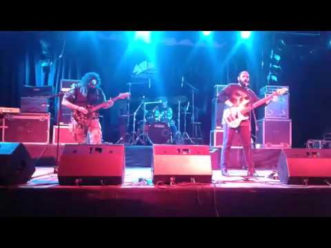 سلاسل خط الدم       