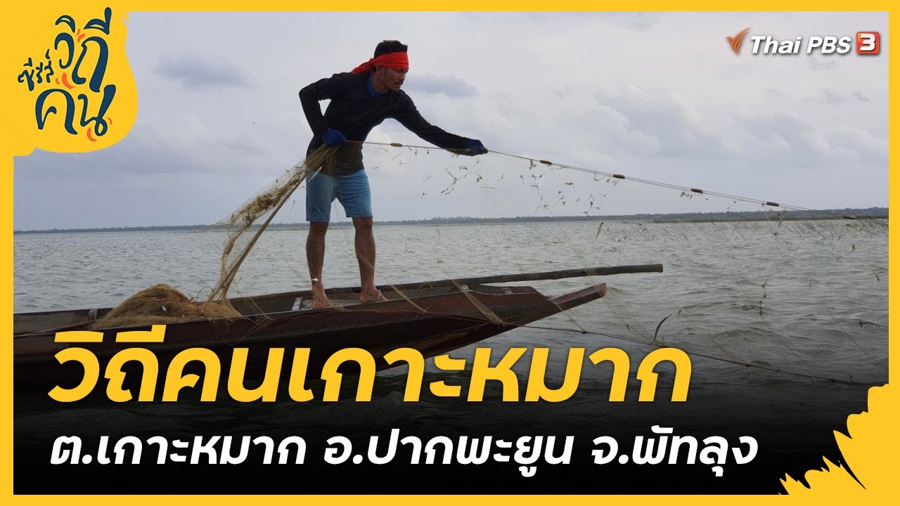 วิถีคนเกาะหมาก ต.เกาะหมาก อ.ปากพะยูน จ.พัทลุง : ซีรีส์วิถีคน [CC]