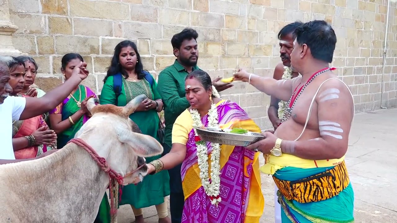 C. Elumalai weds A. Prema.. 60th wedding.Maadan studio thirukkadaiyur. 9790304084