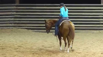 Mulaney - sorting - warming up - Valley View Ranch