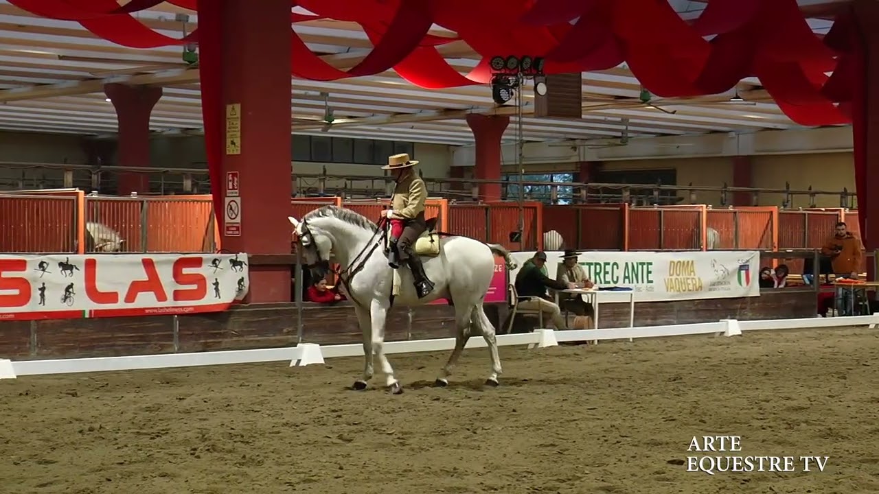 ARTE EQUESTRE TV - VENTURA SUAREZ FERNANDEZ - DOMATI - FINALE CAMPIONATO ITALIANO DOMA VAQUERA