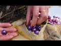 Purple pearls are amazing! Such beautiful pearls can grow out of pearl oysters