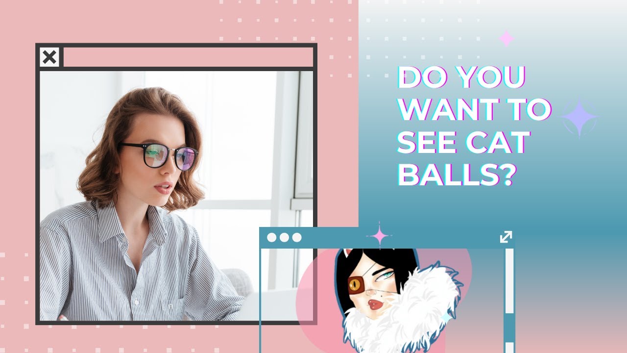 Who wants to see Maine Coon testicles?