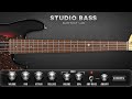Realistic Bass Guitar Instrument Plugin (Pc/Mac VST, AU,AAX)