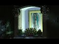 Our Lady of Guadalupe celebrations begin in Des Plaines