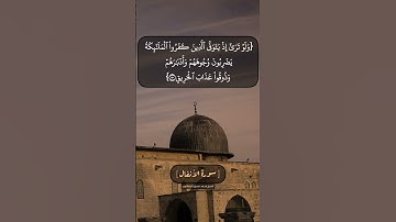 سورة الأنفال الآية ٤٩ الى ٥١ بصوت الشيخ محمد صديق المنشاوي