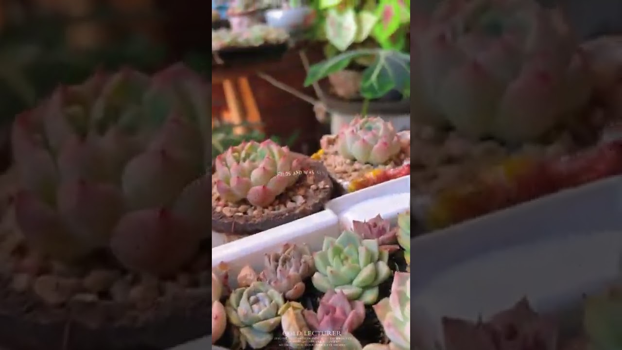 Blowing the cool breeze, humming a song, the time at this moment only belongs to oneself.