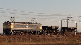 【宇都宮配給(復路)】国鉄EF65形1000号機1102号機+ホキ2両が東大宮〜蓮田間にある有名撮影スポットヒガハスを通過するシーン！  (8937)2024.2.28