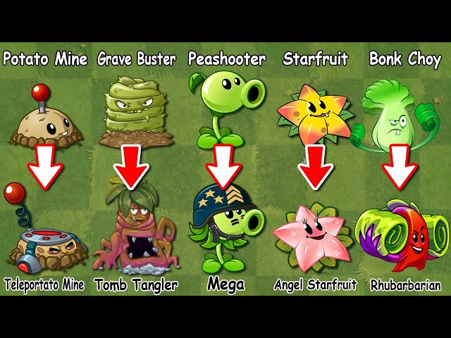 PVZ 2 New Evolution Plants In The Game Plants Vs Zombies 2 - NOOB - PRO -  HACKER 