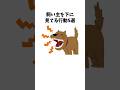 飼い主を下に見ている犬の行動5選 #犬 #ペット #雑学