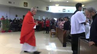 Domingo de Ramos “De la pasión del Señor”