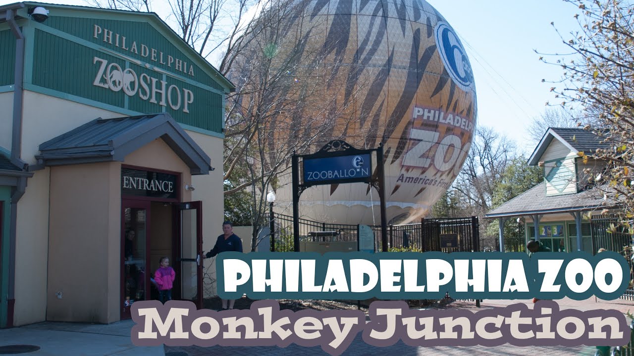 Philadelphia Zoo Monkey Junction YouTube