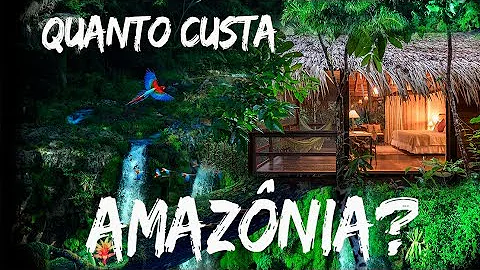 Quanto custa ir para o Amazonas?
