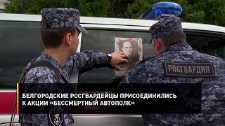 Белгородские росгвардейцы присоединились к акции «Бессмертный автополк»