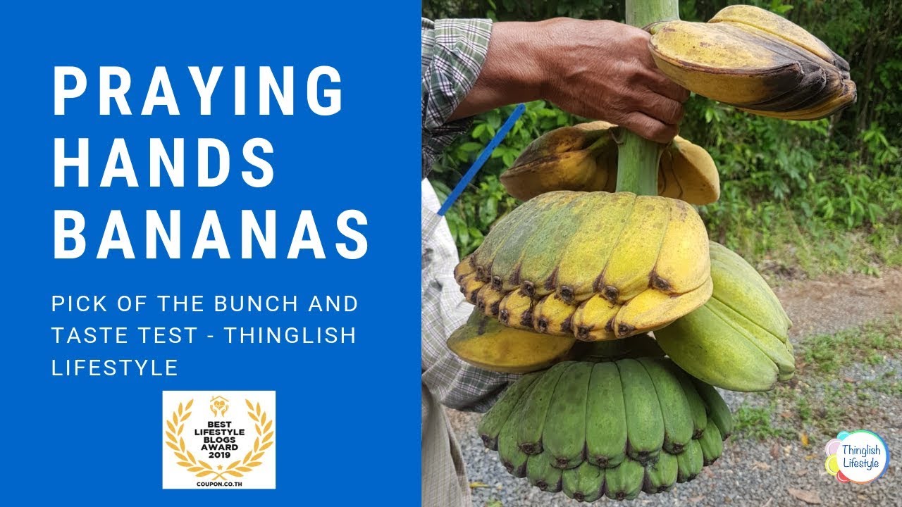 Praying Hands Bananas YouTube