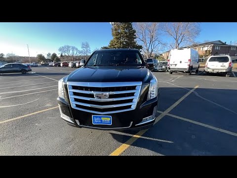 Automotive Avenues Denver Co