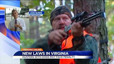 These new Virginia laws go into effect July 1