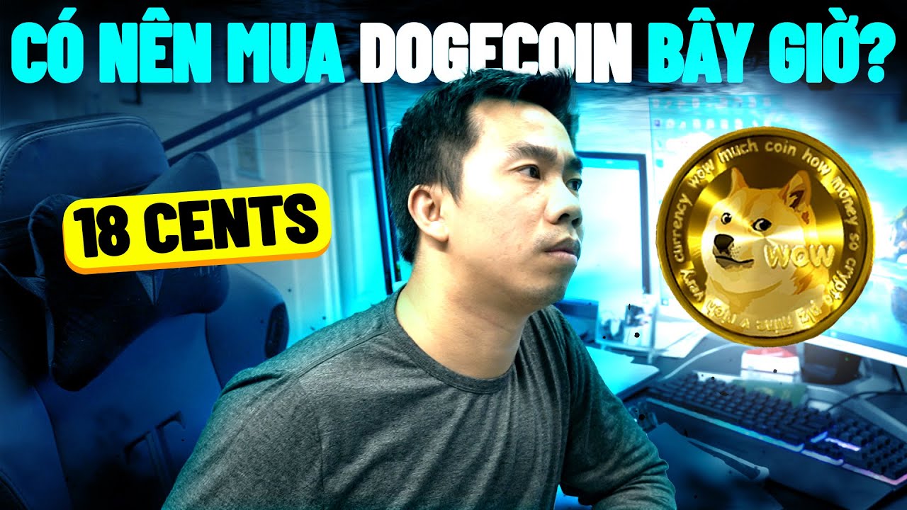 dodgecoin Update 2022 Thị trường crypto sụt giảm | Dogecoin 17 cent có nên mua thêm?