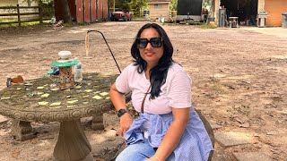 25.07.2026 | Texas | Saturday morning | A small town tour | Pappadeaux | Bella Ranch Horses | Part 1 News
