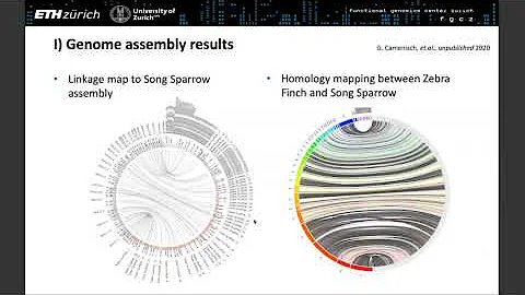 Exploring the Use of Bionano Optical Mapping for G...