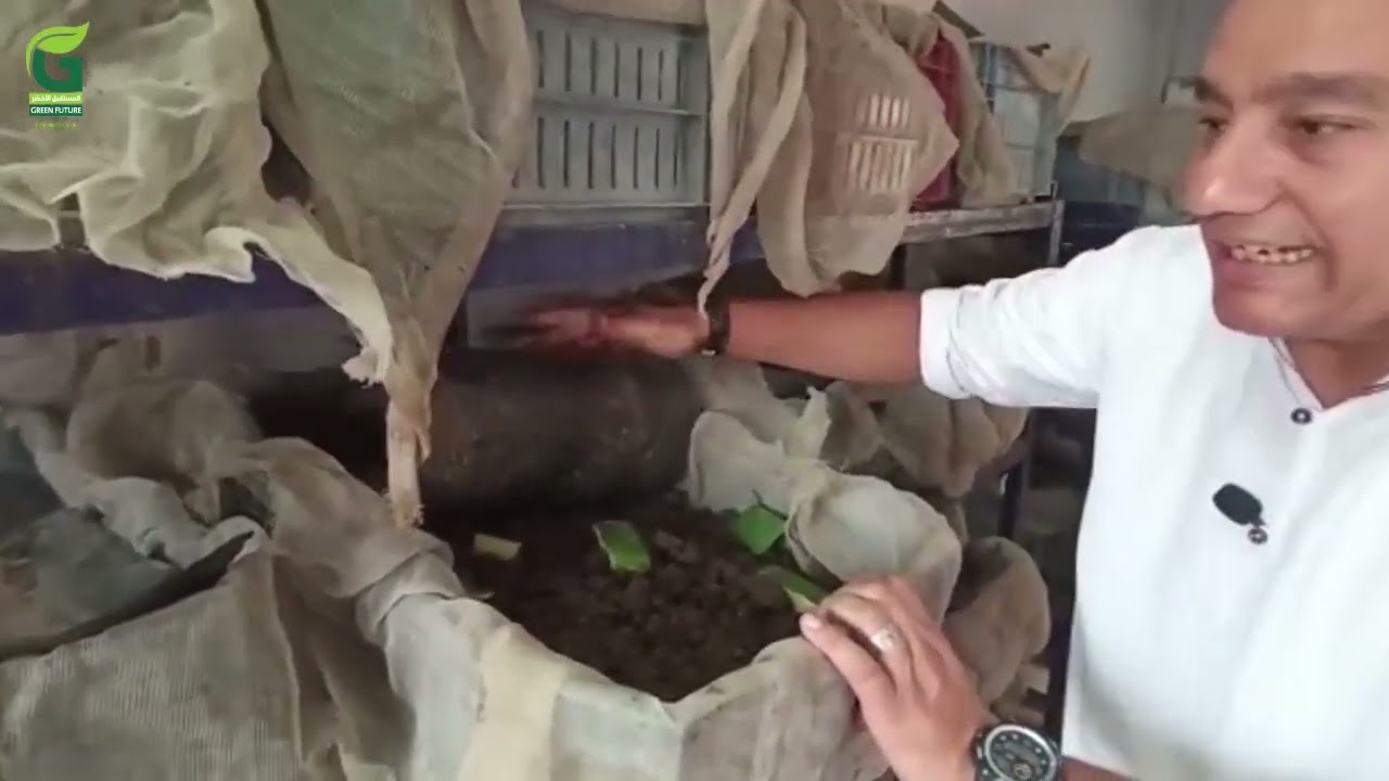 طريقة تربية دودة الأرض 