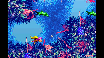 Donkey Kong Country 3(GBA): FULL GAMEPLAY(Part 19) Cotton Top Cove: Bazza