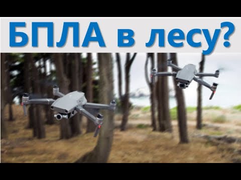 Подеревная таксация дронами