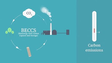 Bioenergy with Carbon Capture and Storage (BECCS)