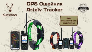 GPS ошейник Artelv Tracker