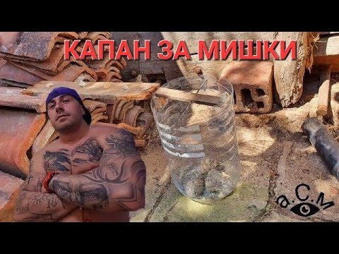 Видео: Капани за мишки „направи си сам“