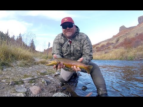 Fly Fishing the Yampa River - YouTube