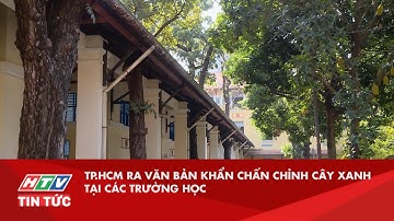 TP.HCM RA VĂN BẢN KHẨN CHẤN CHỈNH CÂY XANH TẠI CÁC TRƯỜNG HỌC | HTV TIN TỨC