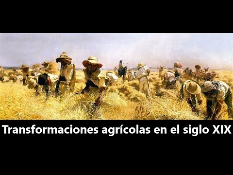 Video: ¿Cómo intentaron los agricultores de finales del siglo XIX resolver sus problemas?