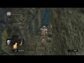 Dark Souls no death run #105