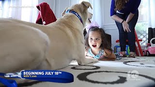 Help Clear the Shelters