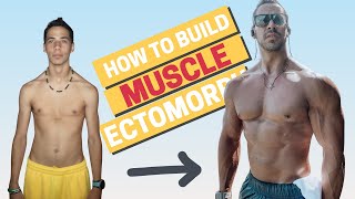 How To Build Muscle As An Hardgainer From Scrawny To Muscular Ectomorph