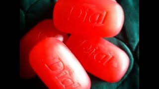 Dial Glycerin Bar Soap Power Berries 2025