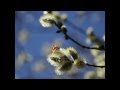 Стас Михайлов Конкурс 2015 - Ирина Оликевич - Исповедь