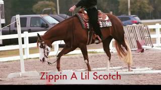 Zippin A Lil Scotch